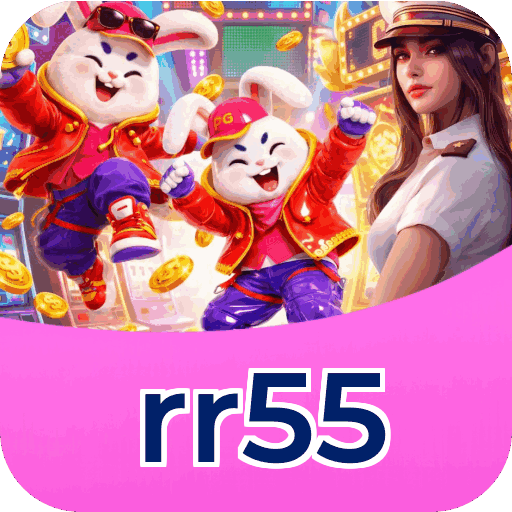 Interface rr55